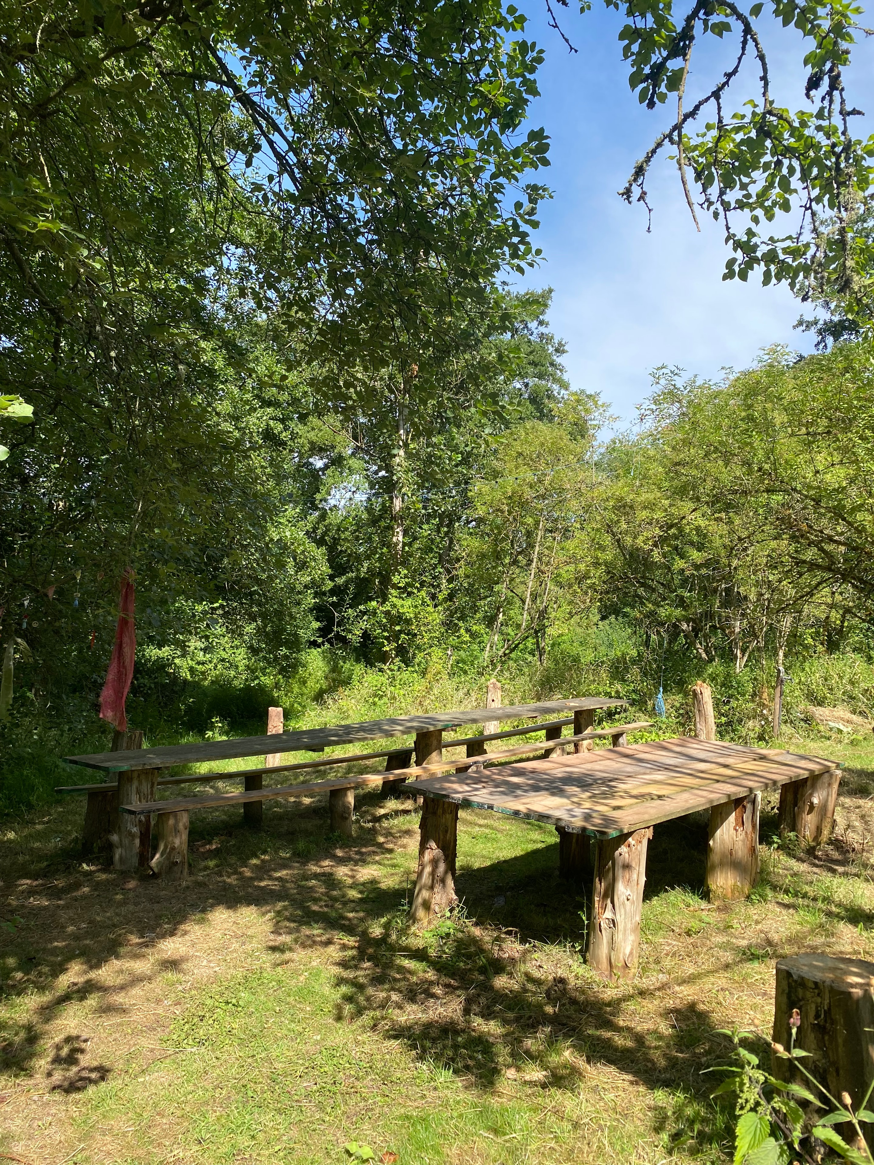 Retreat woodland structure