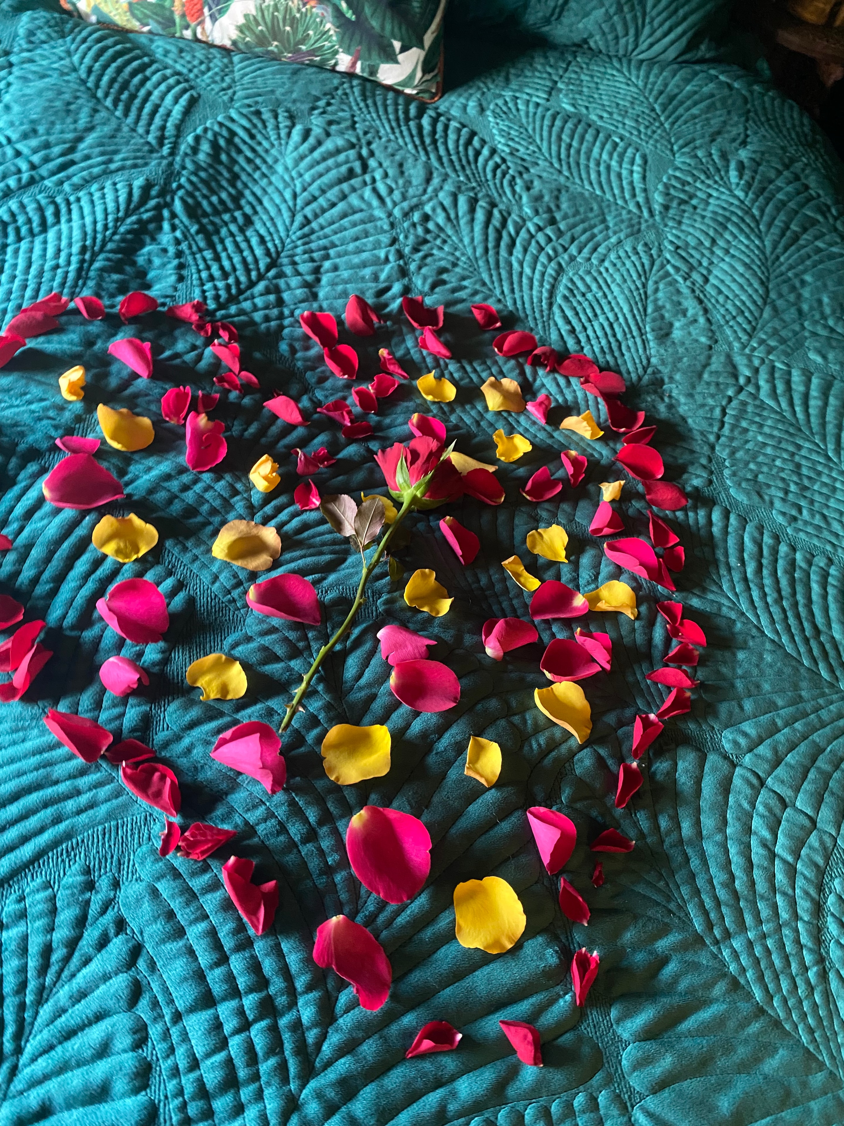 Rose petals in a heart on the teal bedspread