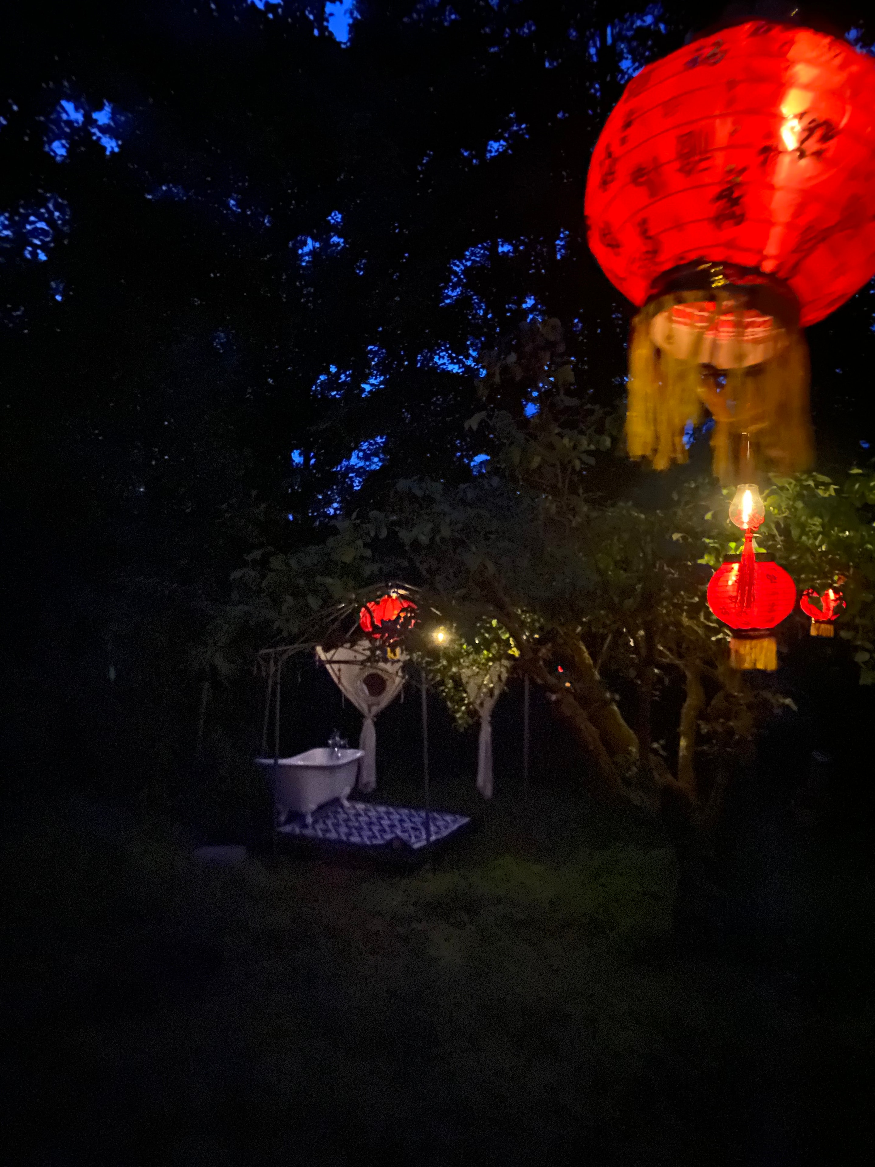 Red lanterns glowing at night in the trees