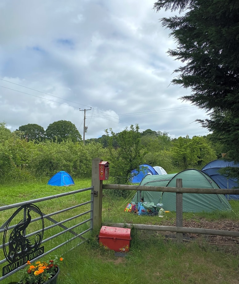 Stargazing under dark skies at Knotted Roots Wild Camp